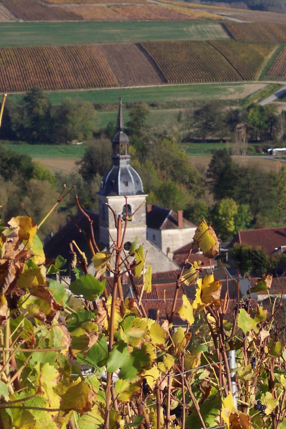 Paysage d'Arrentières en Automne